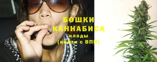 сатива Кукмор