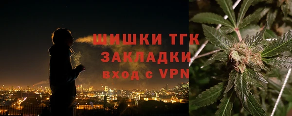 ГАЛЛЮЦИНОГЕННЫЕ ГРИБЫ Лагань