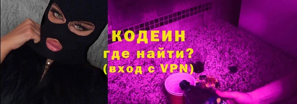 2c-b Пионерский
