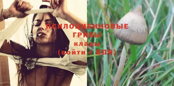 гашишное масло Лабытнанги