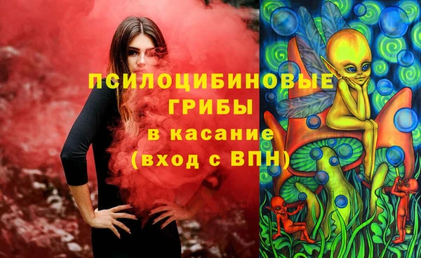 сатива Кукмор